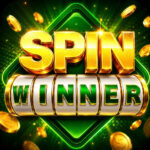 SPIN WINNER