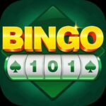 BINGO101 DOWNLOAD NOW